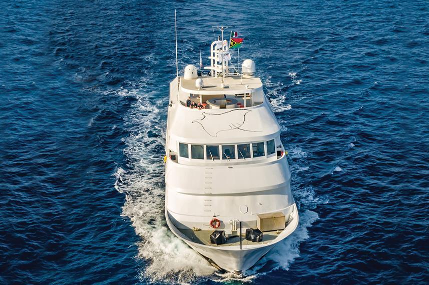 Best Liveaboards Dive Trips in Mexico