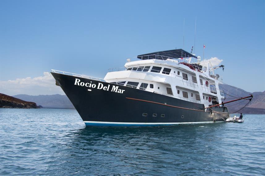 Best Liveaboards Dive Trips in Mexico